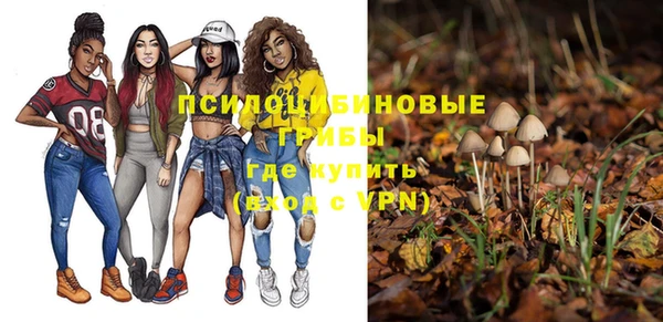 МДПВ Абаза