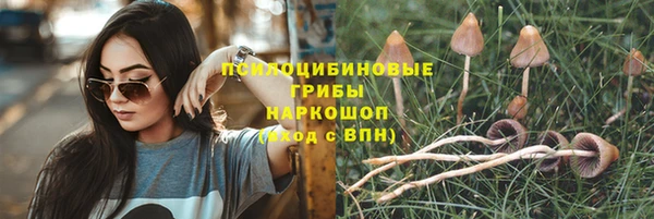 СК Заводоуковск